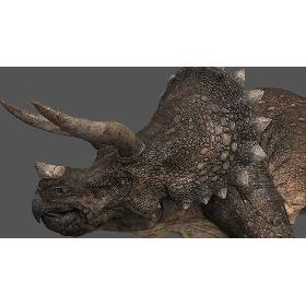 Triceratops animations 3D model
